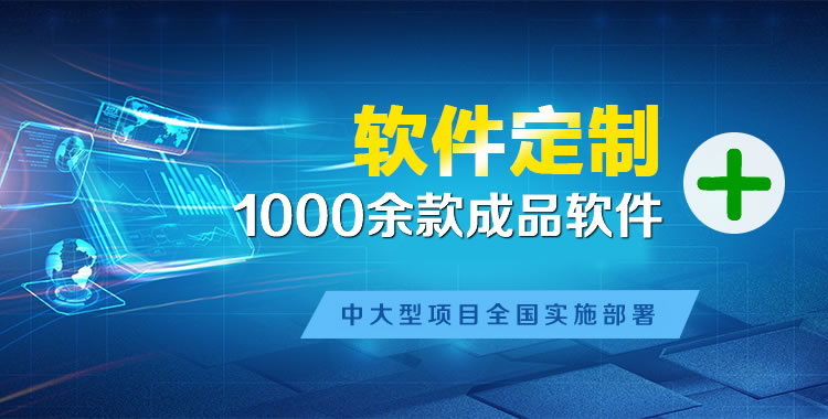 叶城管理系统软件软件开发